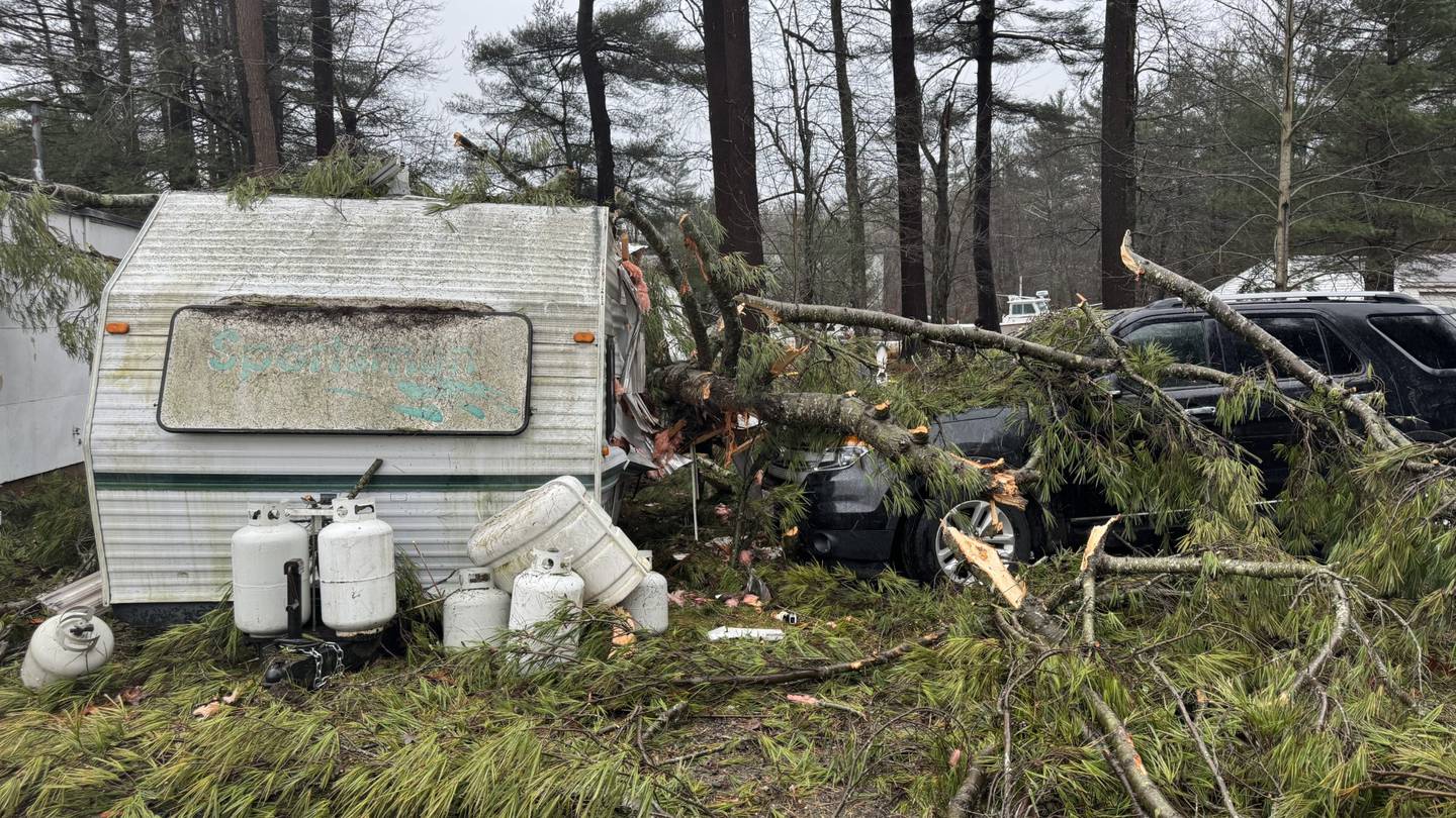 Featured image for Fatal Storms: Multiple Deaths and Injuries as Trees Crush Trailers and Cause Power Outages on South Shore