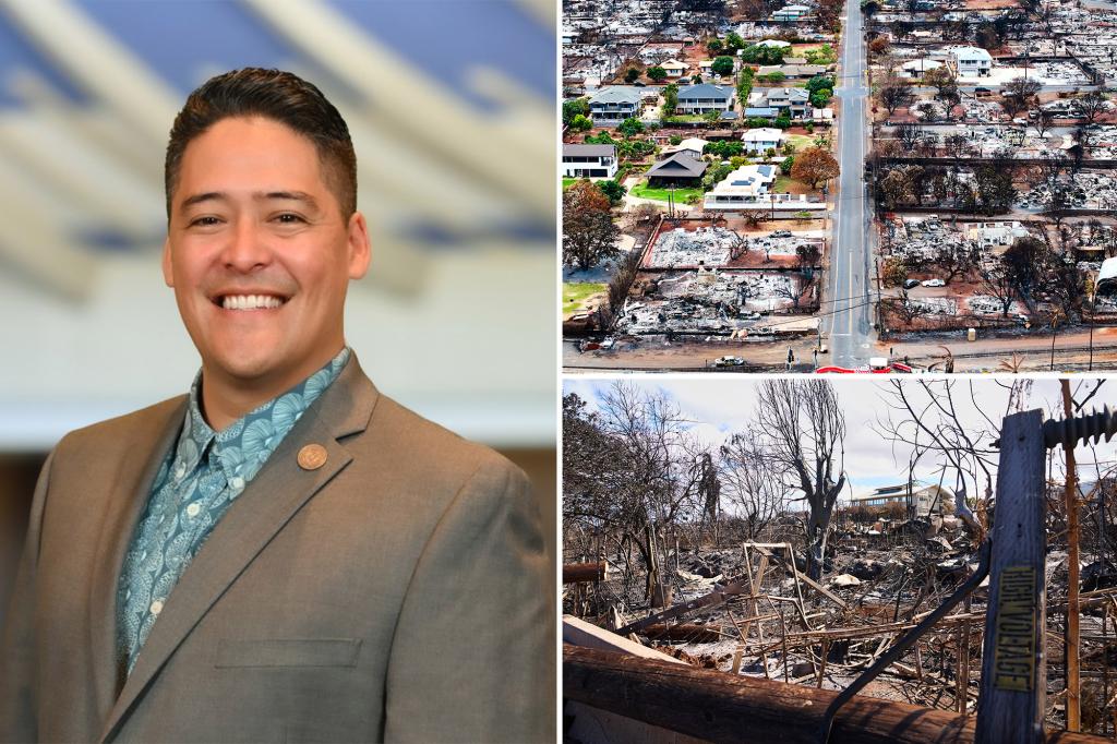 Hawaii Official's Delay in Releasing Water Amid Wildfires Raises Equity Concerns