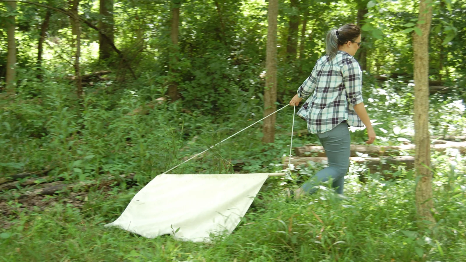 Lyme Disease Cases Rise in Michigan, Counties Respond