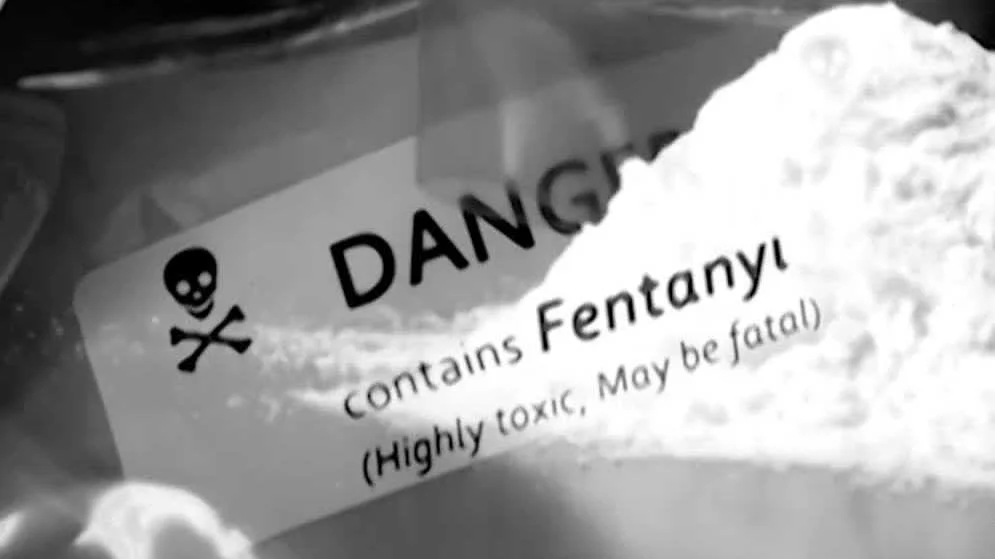 Central Coast's Lower Overdose Death Rate Revealed by New Database