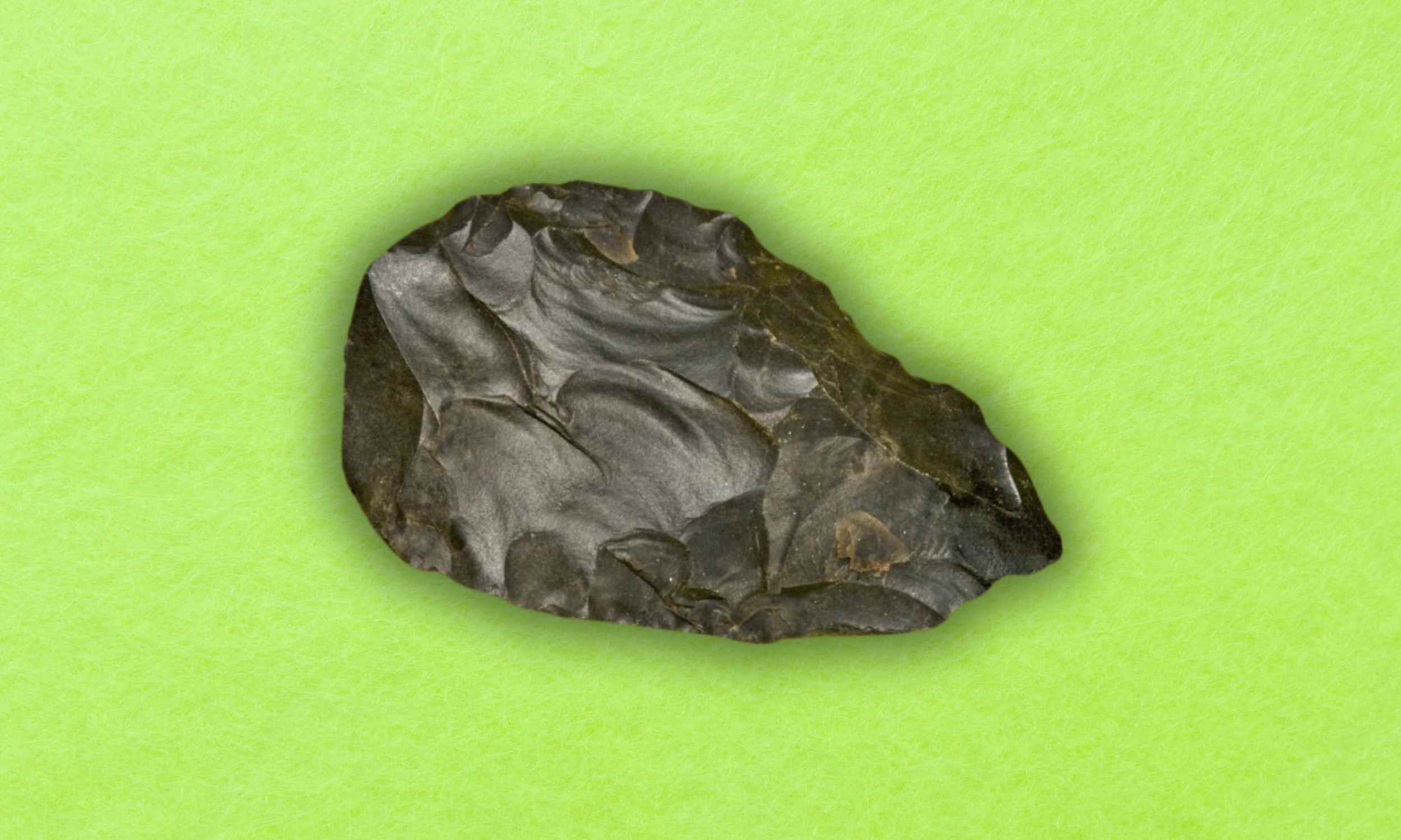 Featured image for 850 Paleolithic Artifacts Discovered in Desert