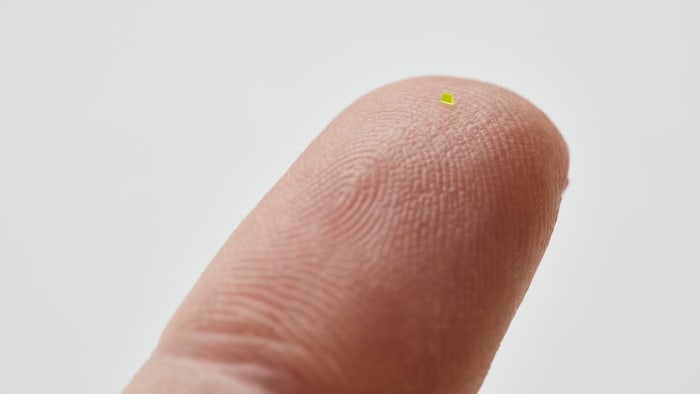 Featured image for "Microscopic Handbag Fetches $63K at Auction: A Fashion Statement or a Waste of Money?"