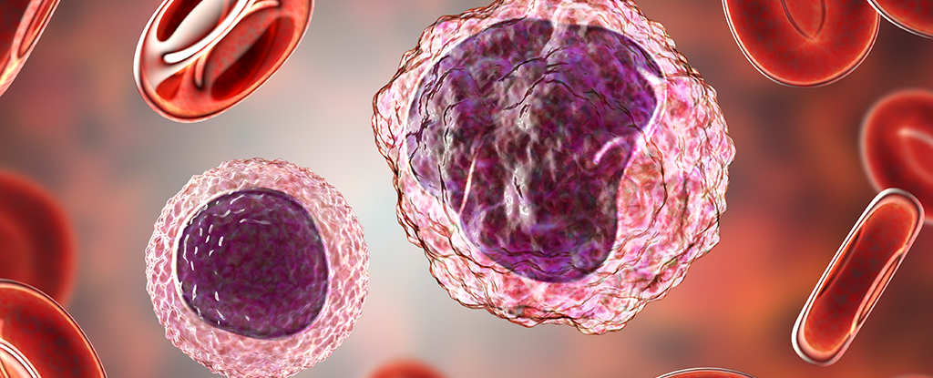 Featured image for "Epigenetic Alterations in Immune Genes Linked to Alzheimer's Disease"