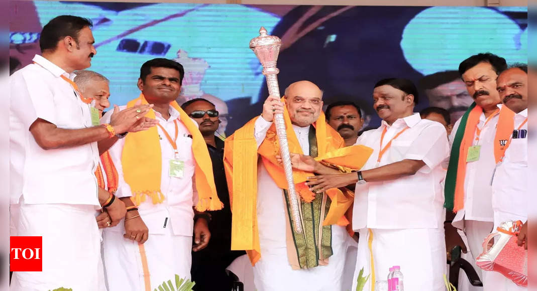 Amit Shah aims to win 25 of 39 Lok Sabha seats in Tamil Nadu.