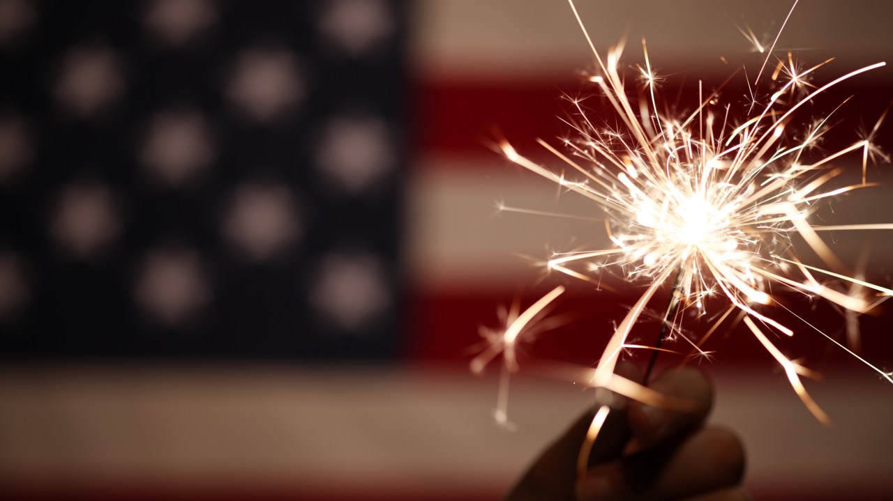 Firework Safety: Protecting Pets, Property, and People