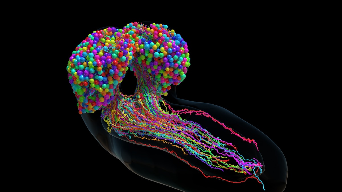 Featured image for "Revolutionary Medical Breakthroughs Inspire Hope in 2023"