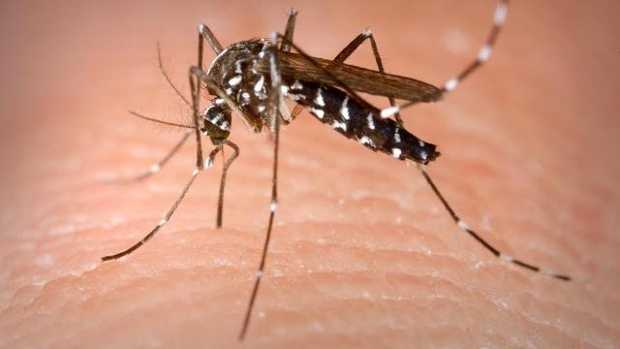 Surge in West Nile Virus Cases Reported in Ohio and Washington State