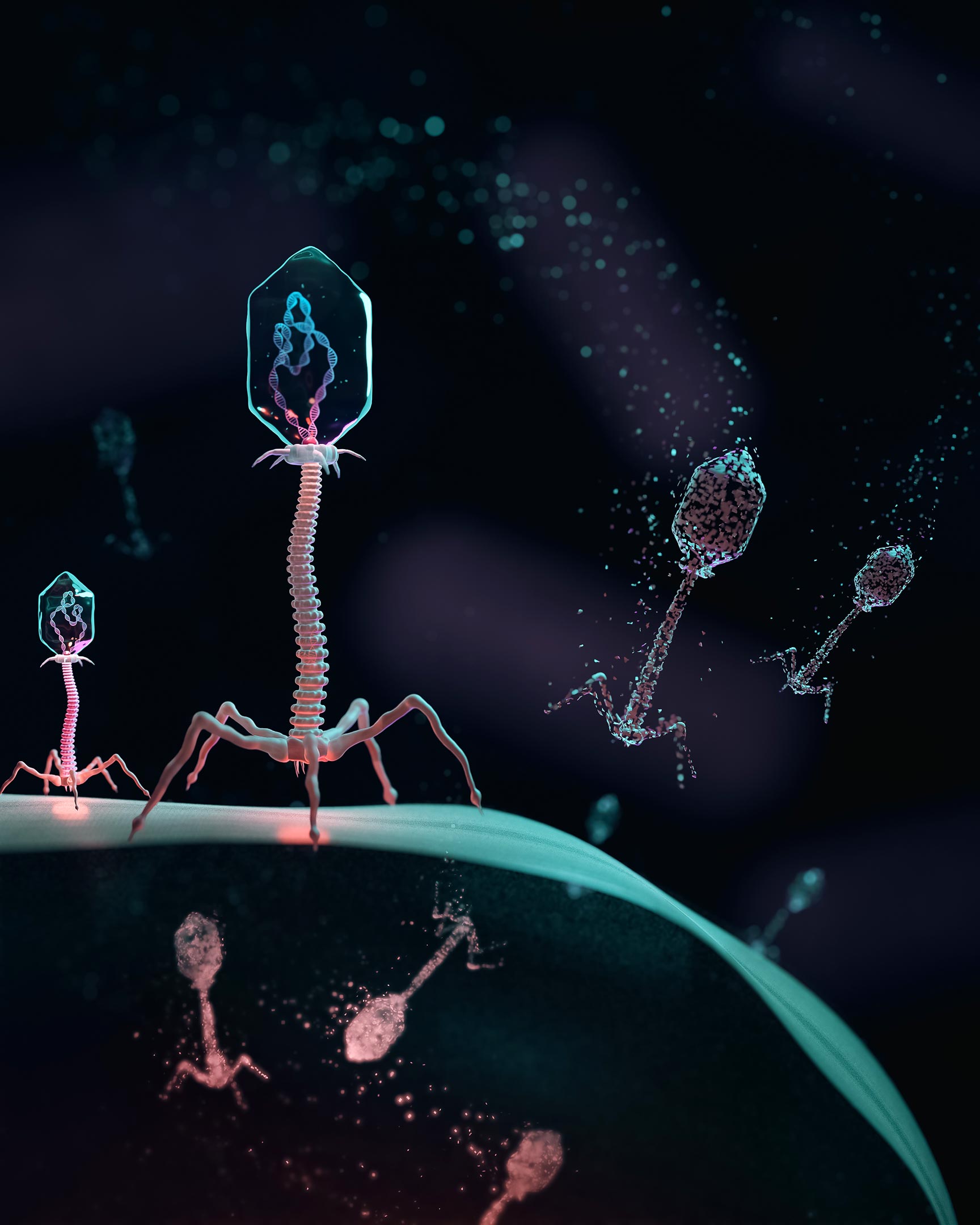 "Supercharged Bacteria with Immunity to Viral Infections and Faster Detection Methods Developed by Scientists"