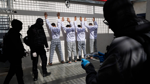 Featured image for Israel and Gaza Celebrate Prisoner Releases and Ceasefire Developments