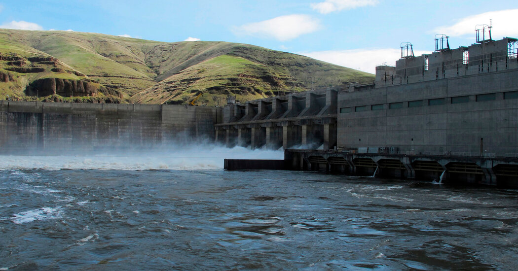 Featured image for Trump Withdraws from Columbia River Salmon Recovery Deal with Tribes