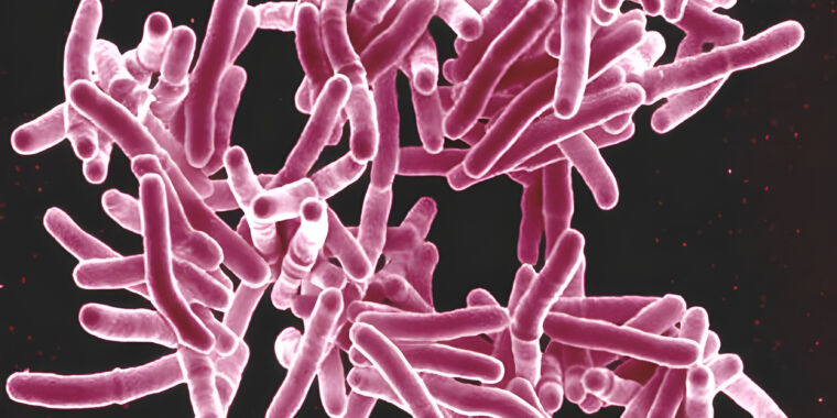 TB-infected woman released from prison after fleeing treatment.