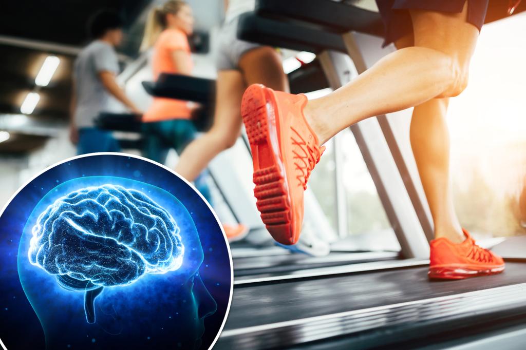 "Optimizing Brain Health: The Impact of Exercise on Memory and Brain Volume"