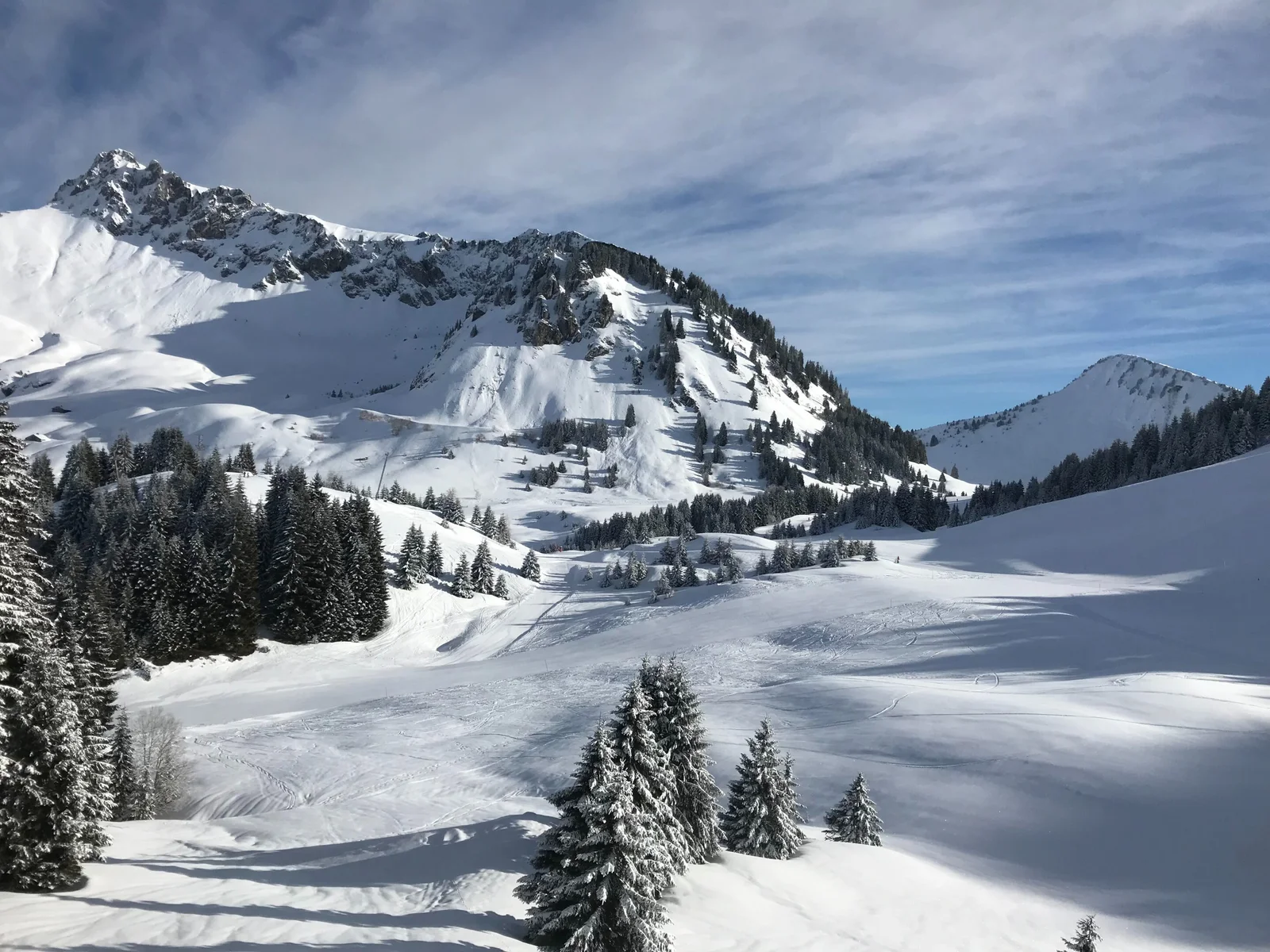 Plastic-eating microbes found in the Alps and Arctic.