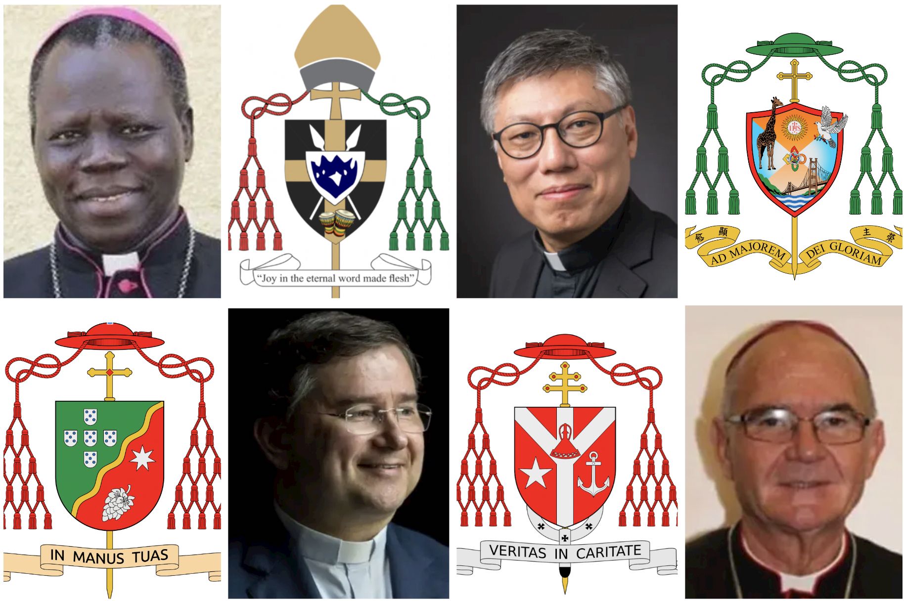 Featured image for "Pope Francis Empowers New Cardinals with Spiritual Mottos and Unity in Diversity"