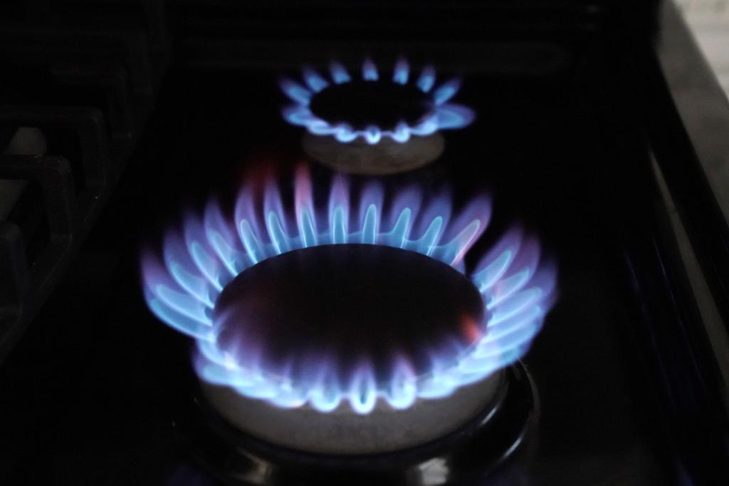 Federal Appeals Court Overturns Berkeley's Natural Gas Ban.