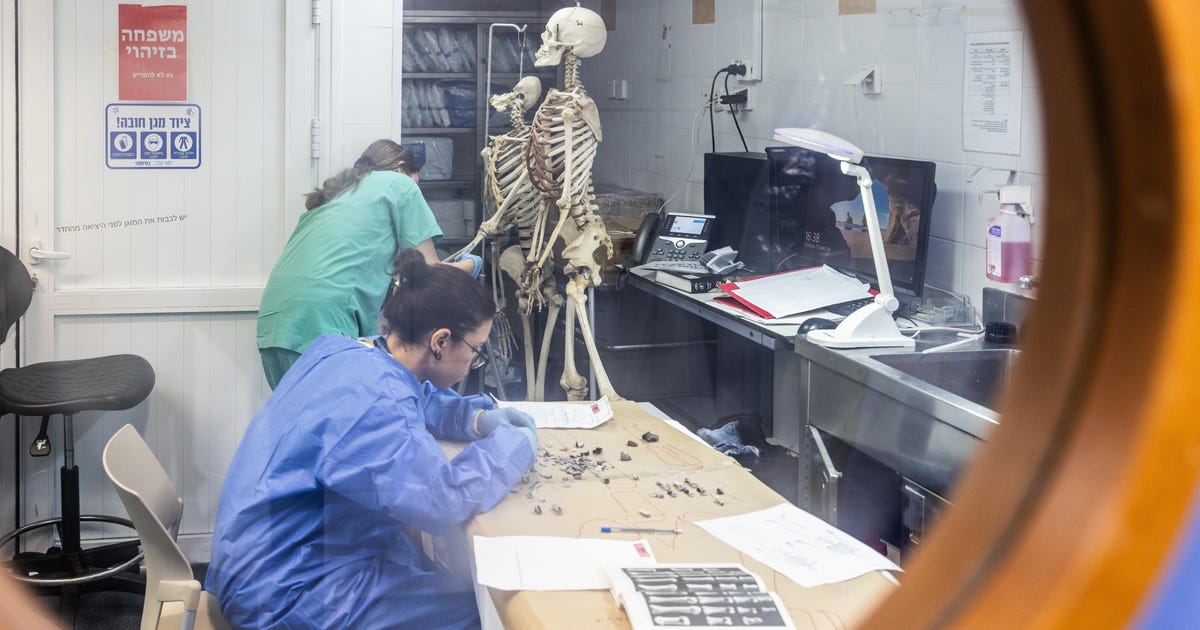 The Challenging Task of Identifying Israeli Victims: A Grueling Journey for Body Collectors