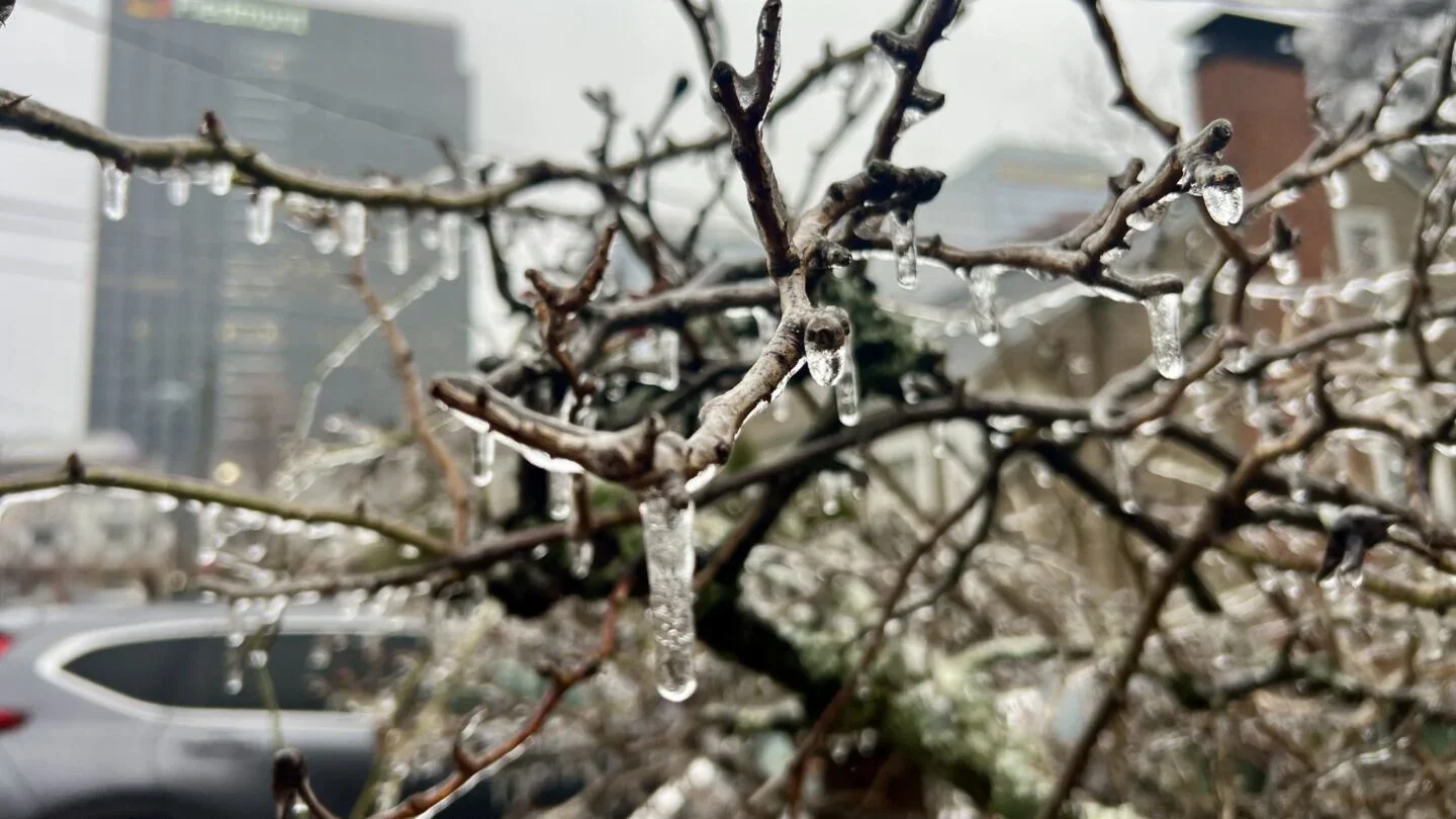 Georgia ice storm cripples metro Atlanta with outages and flight disruptions