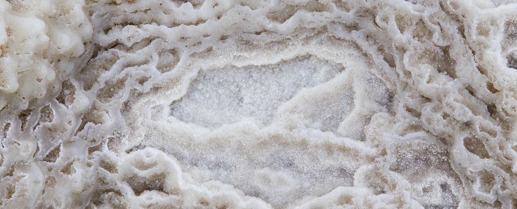 Featured image for Ancient Ocean History Preserved in Salted Secrets