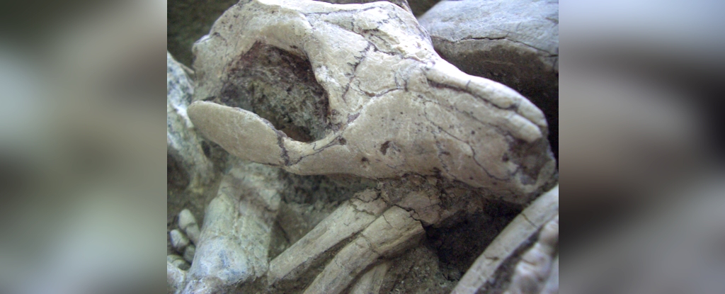 Ancient Fossil Reveals Epic Dinosaur vs. Prehistoric Monster Battle