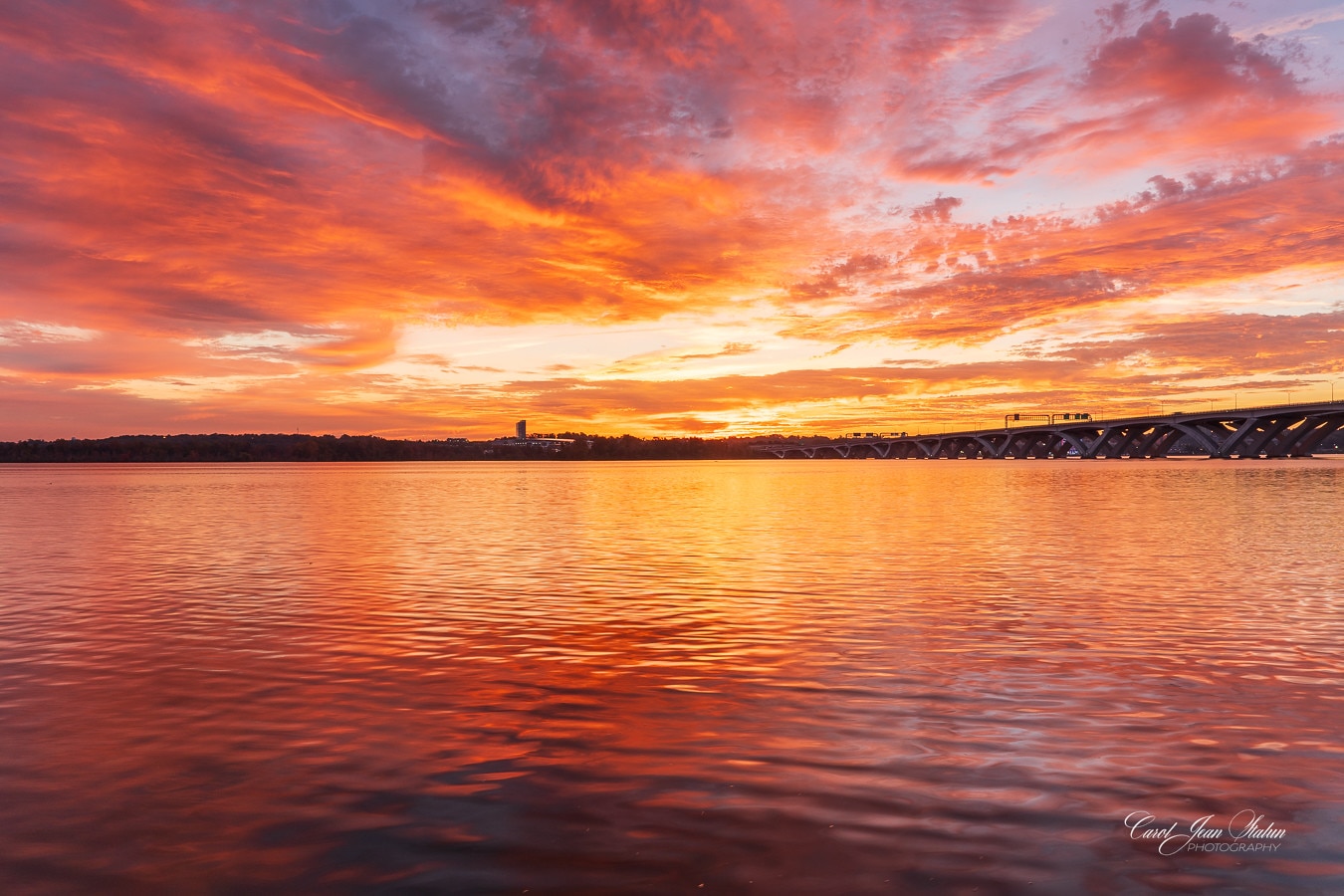 Record-Breaking Heat Wave Sweeps Across Northeastern US