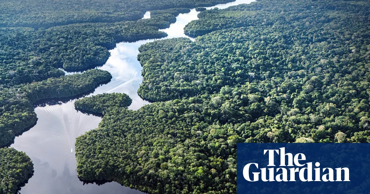 Featured image for Amazon's Big Trees More Climate-Resilient Than Thought