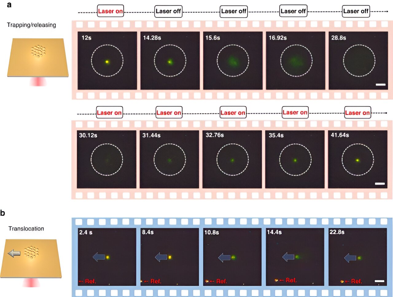 "Revolutionizing Nanomanipulation: CRISPR-Enabled Optothermal Nanotweezers"