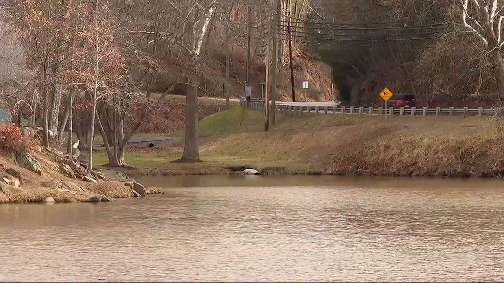 Featured image for "Avian Flu Detected in Ducks at Lake Louise, Confirms Wildlife Commission"