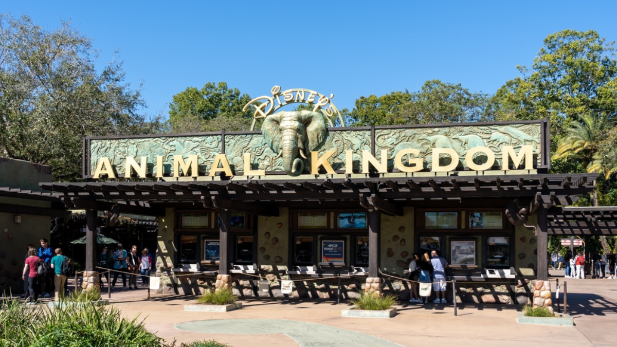 Featured image for Disney's Animal Kingdom unearths 1998 time capsule filled with relics for 25th anniversary.