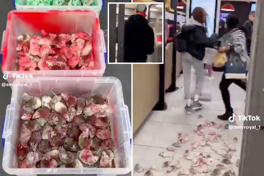Pro-Palestinian Activist's Shocking McDonald's Rat Release Sparks Outrage