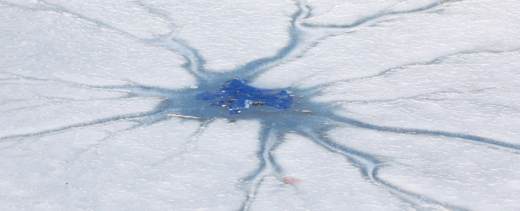 Featured image for New Evidence Reveals How Life Endured 'Snowball Earth'