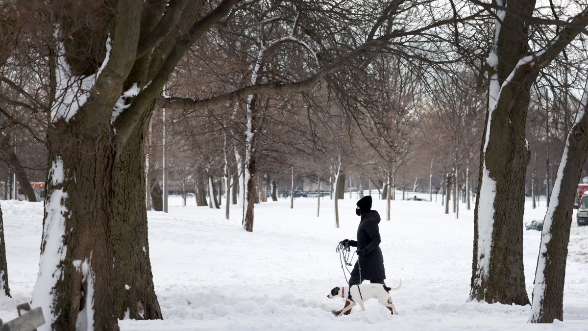 Midwest Braces for Snowy Weekend with Multiple Winter Storm Warnings and Emergencies Declared