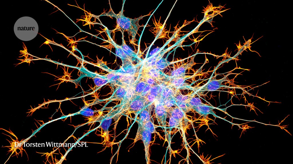 Featured image for Philosopher triumphs over neuroscientist in consciousness debate.