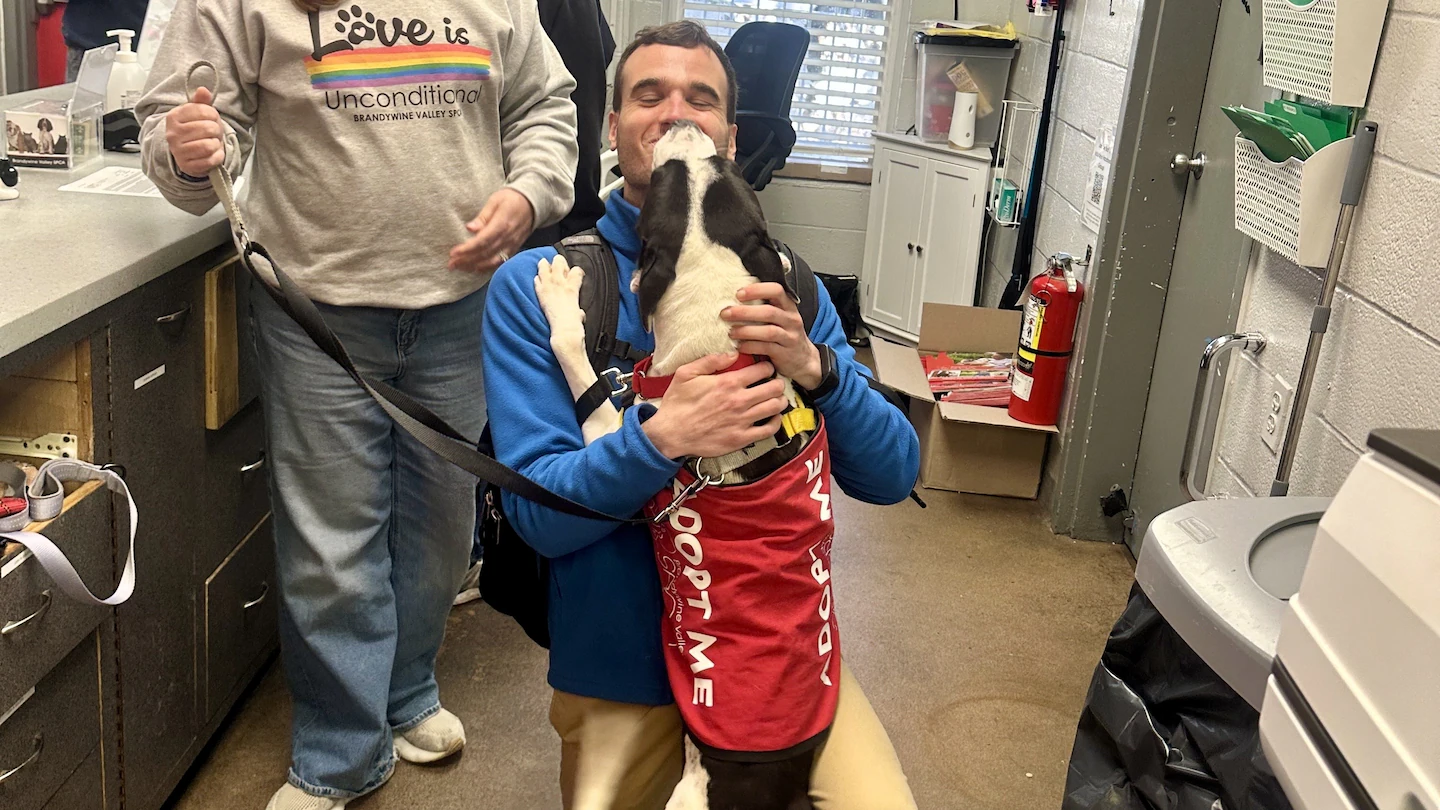 Featured image for Dogs' Ability to Detect and Reduce Human Stress