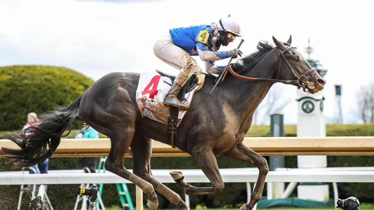 Expert predicts 2023 Kentucky Derby winner amidst strong contenders and long shots.