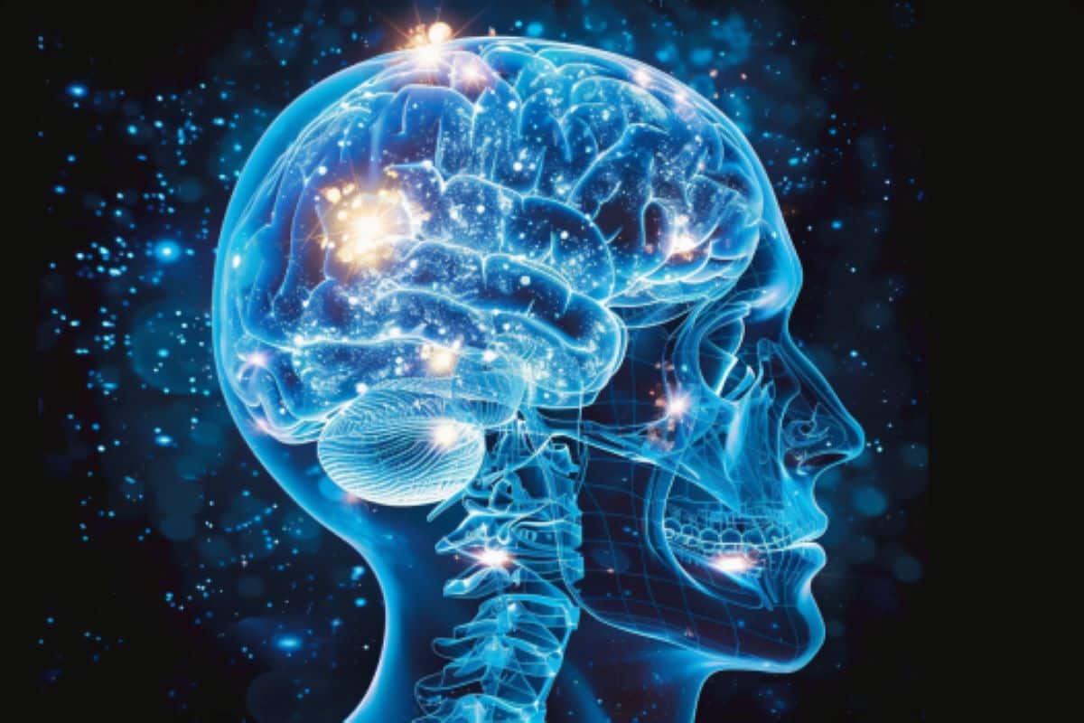 Featured image for "Brain Network Identified as Key to Stuttering"