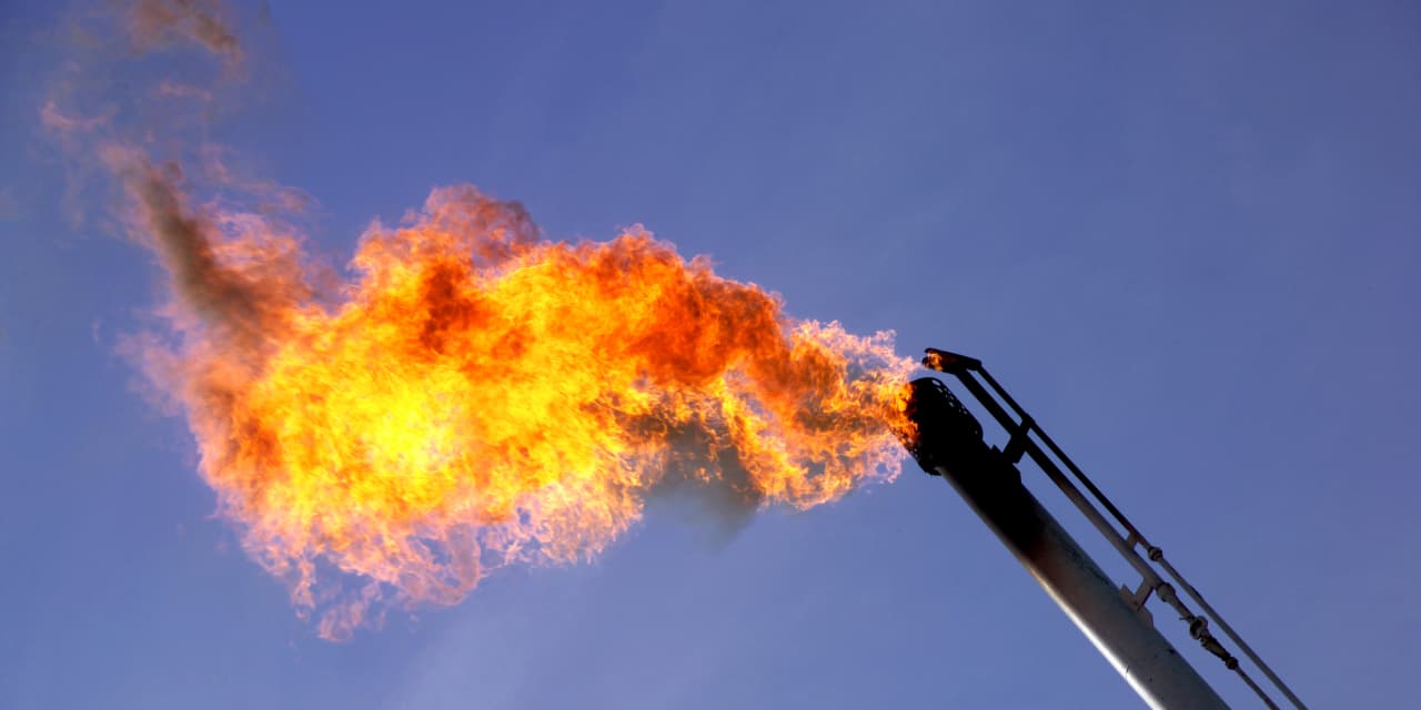 Oil Prices React to OPEC Cuts and IEA Warnings