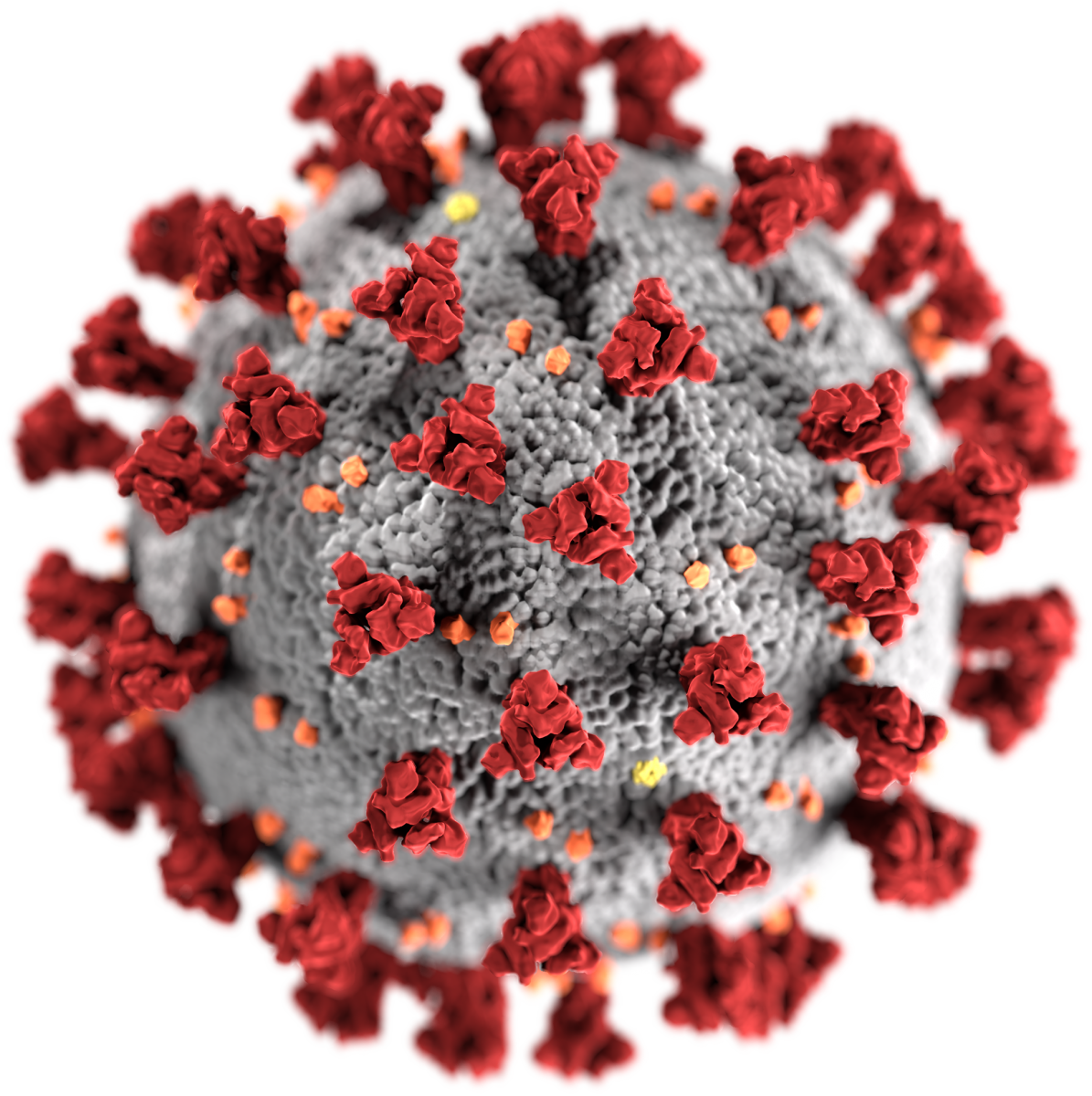 Featured image for "Advancements in COVID research lead to potential life-saving treatments for high-risk patients."