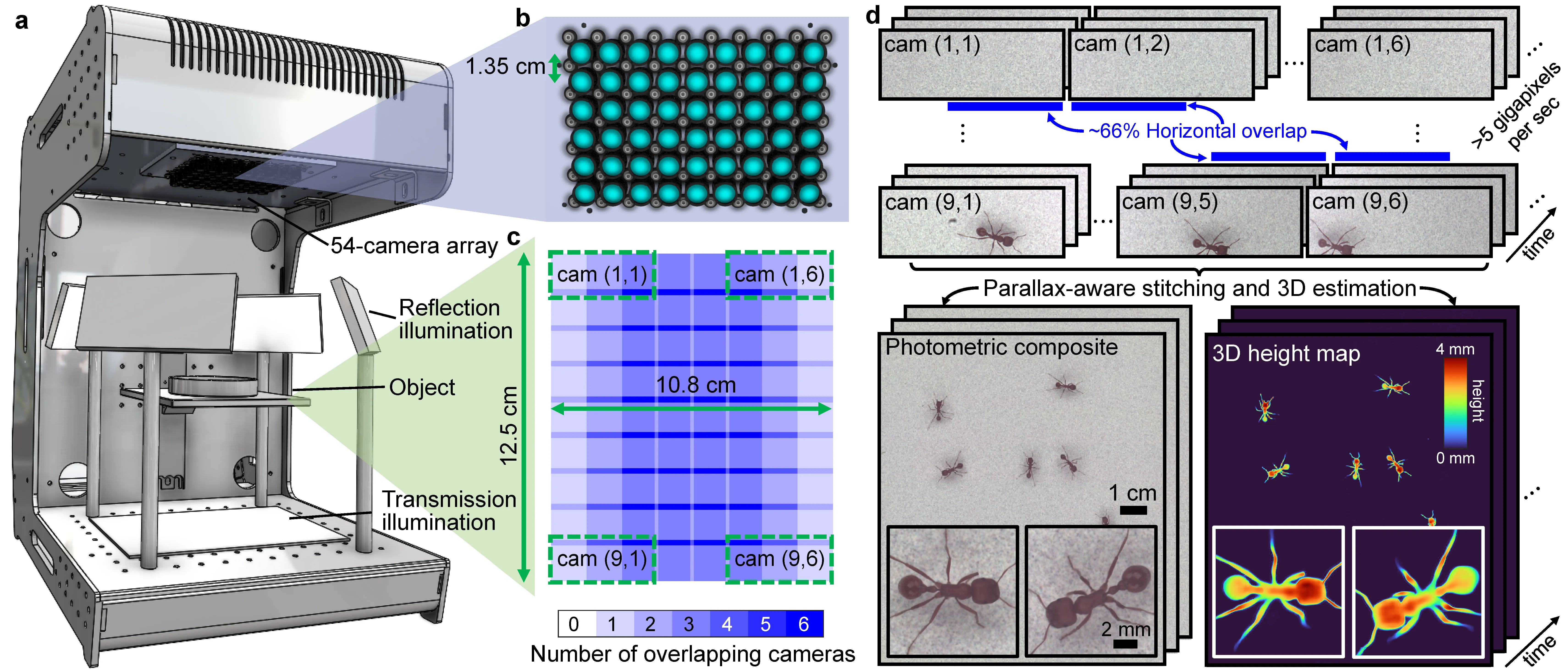 Featured image for "Revolutionizing Organism Visualization with 3D Camera Array and Software Algorithm"