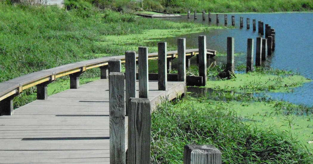 Land Art Installations in Peril: Threats and Demolition Plans