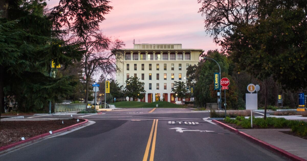 Spate of Stabbings Rocks College Town of Davis.