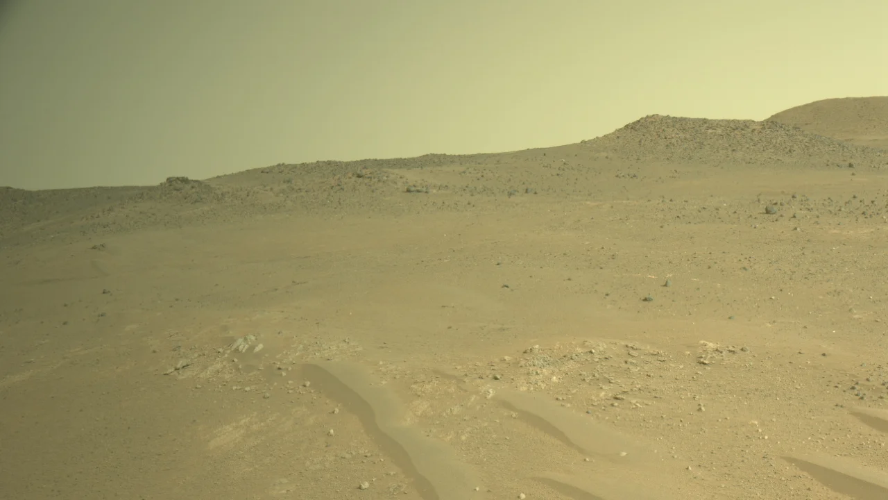 Mars bricks by bacteria: perchlorate helps turn dust into habitat material