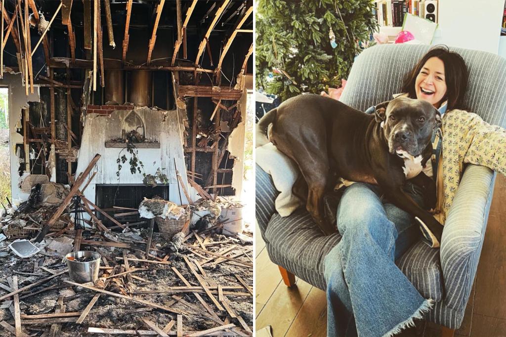 Featured image for Grey's Anatomy Star Escapes House Fire with Children, Loses Pets