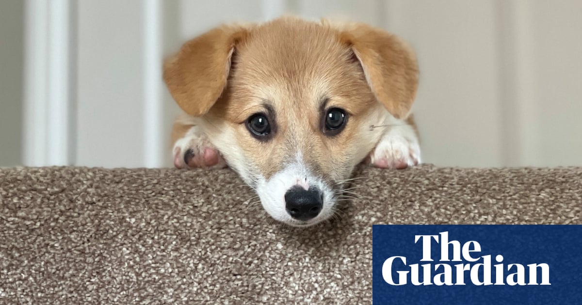 "Readers' Choice: 100 of the World's Cutest Photos of Animals"