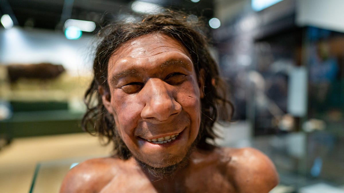 Featured image for Unraveling the Enigma: Neanderthal DNA and Human Ancestry