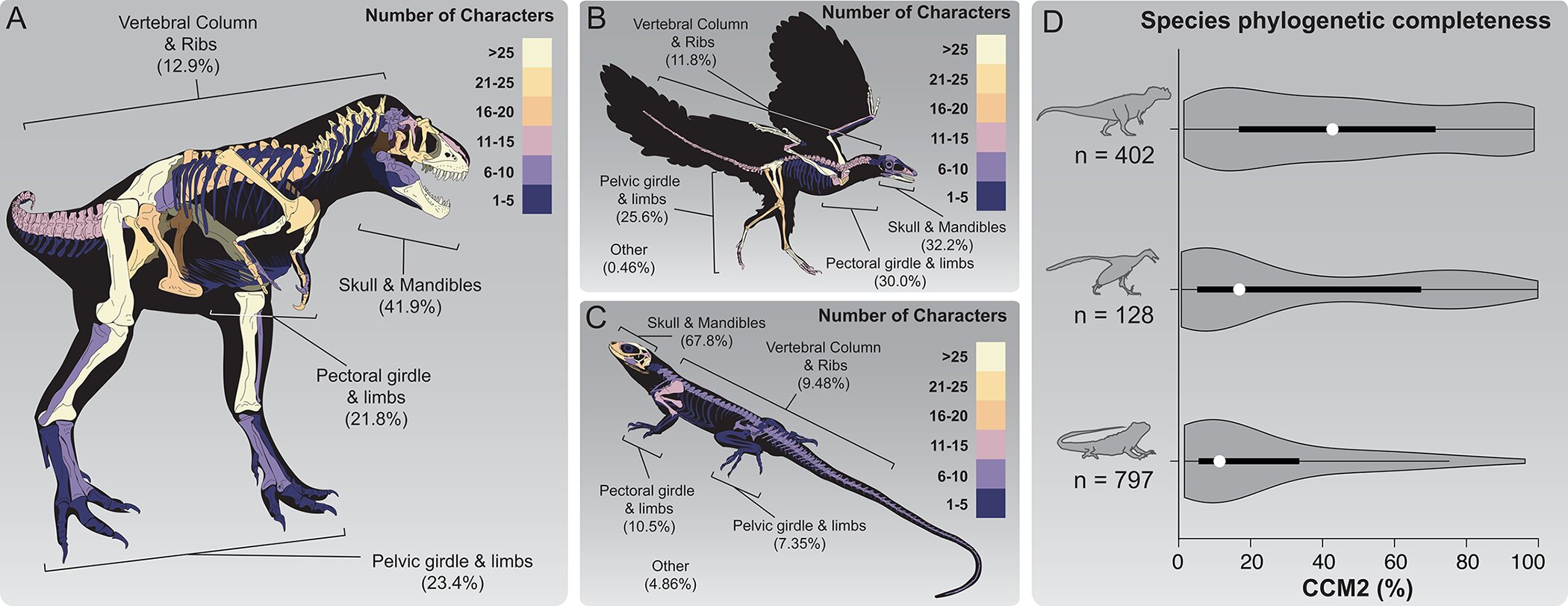 Featured image for "Fossil Sites: Illuminating Evolutionary Relationships and Distorted Phylogenetic Records"