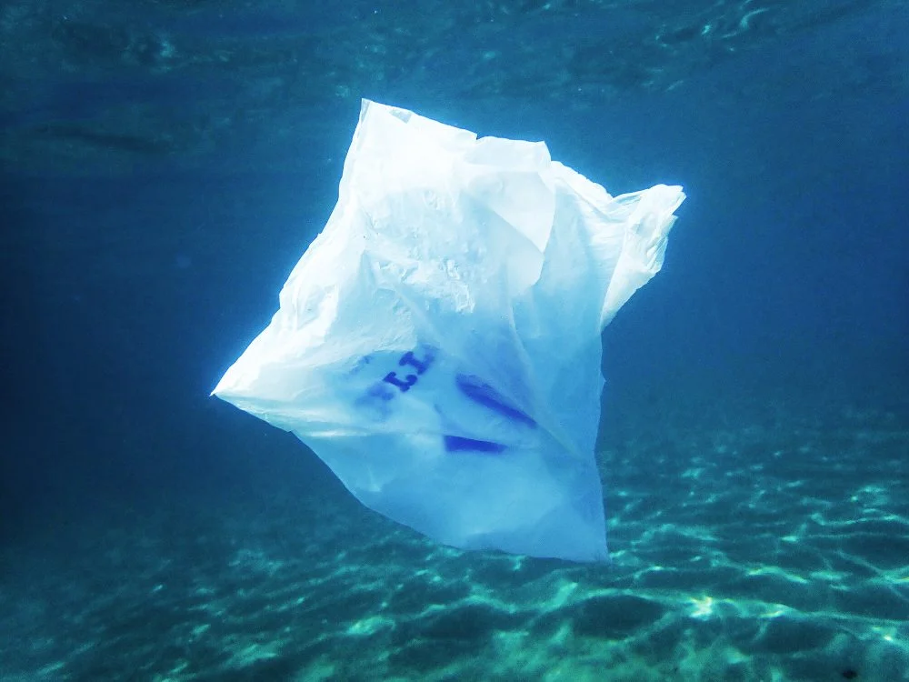 Ocean-friendly packaging: plant-based cmcsp plastic dissolves in seawater within hours