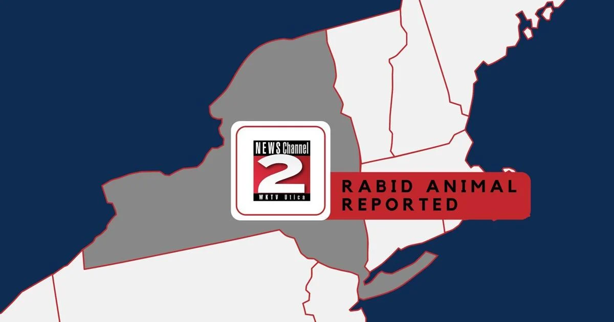 Featured image for Multiple Rabies Exposures in Upstate New York