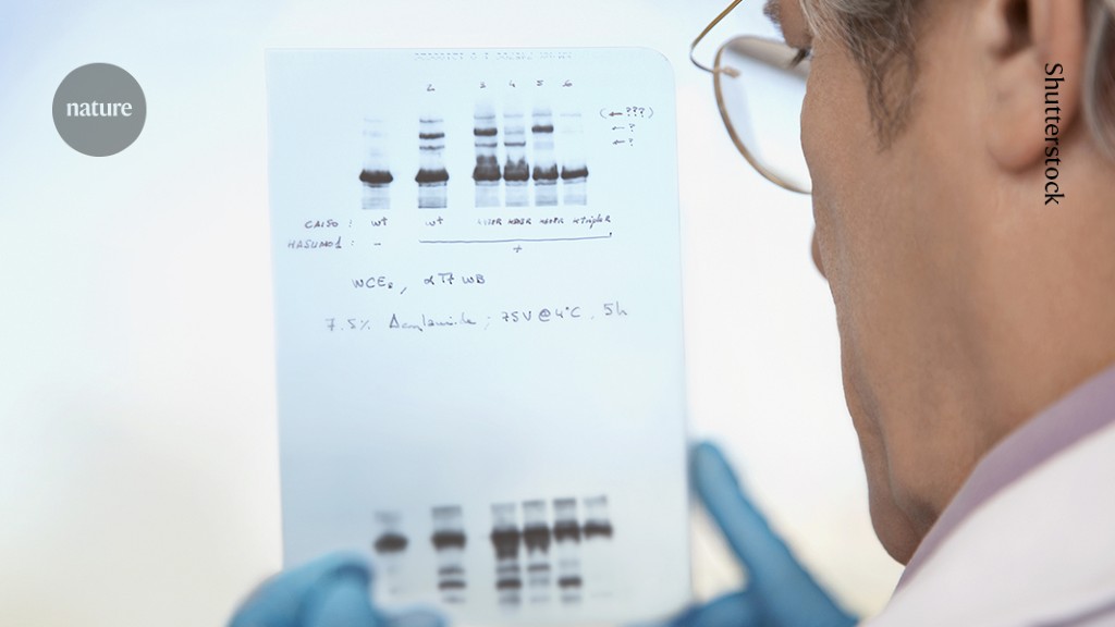 Featured image for "Combatting Academic Fraud and Biased Research with AI Tools and Journal Initiatives"