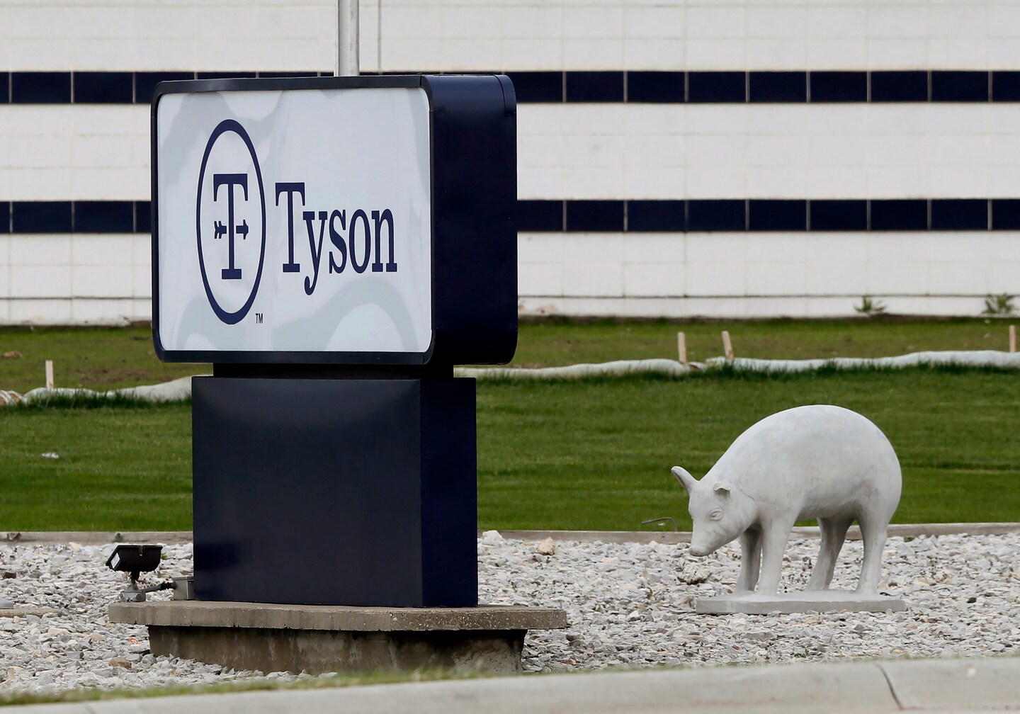 Featured image for Tyson Foods stock drops due to declining beef and pork prices.