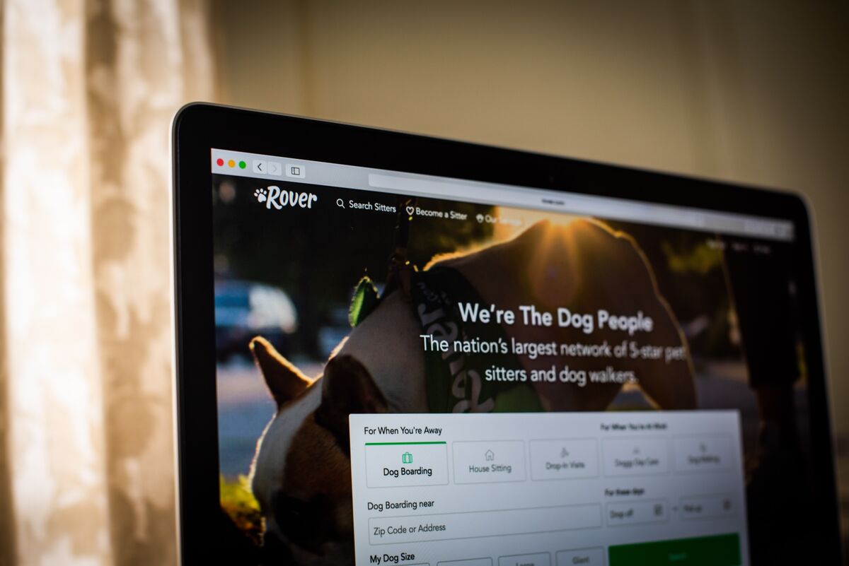 Featured image for Rover Dog-Walking Company Sold to Blackstone for $2.3 Billion